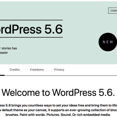 WordPress 5.6 Update