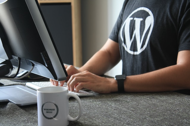 person sitting at computer ready to type wearing a WordPress tshirt